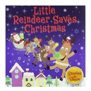 10 x Little Reindeer Saves Christmas Story Books