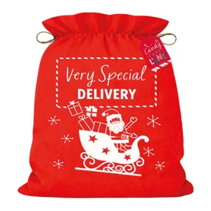 24 x Printed Christmas Sacks 60x50cm