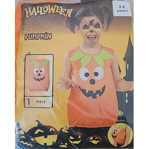 1 x Pumpkin Halloween Costume Age 2-4 Years