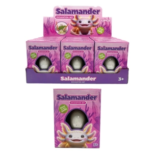 12 x Salamander Dig & Discover Kits