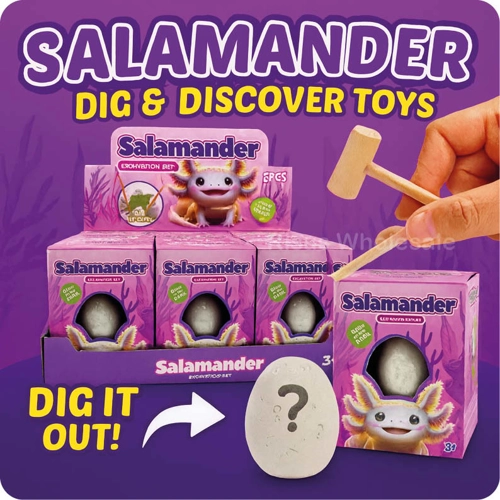 12 x Salamander Dig & Discover Kits