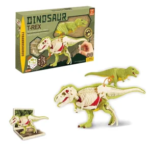 6 x T-Rex 3D Anatomical Model Playsets