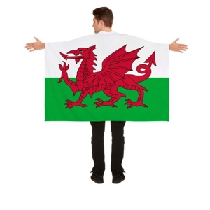 10 x Welsh Dragon Flag Capes