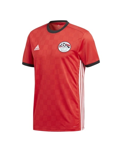 Egypt World Cup Home