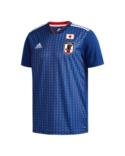 Japan World Cup Home