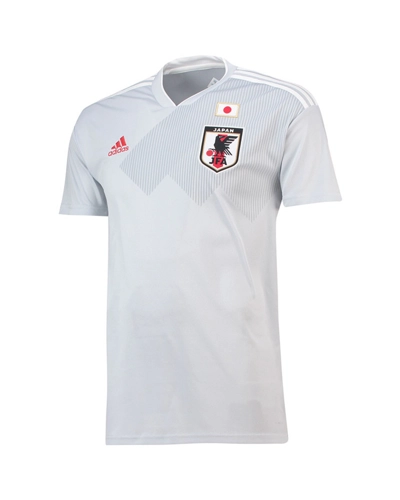 Japan World Cup Away