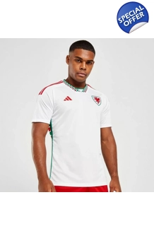 Wales Away World Cup