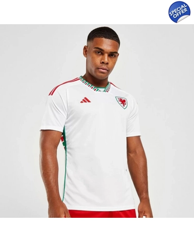 Wales Away World Cup