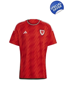 Wales Home World Cup