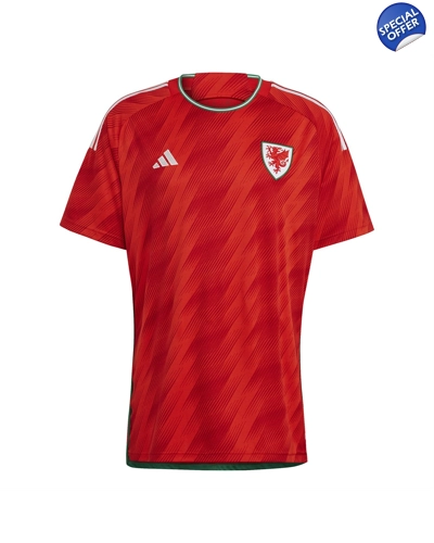 Wales Home World Cup