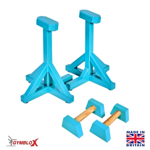 Turquoise Gymblocks & Parallettes