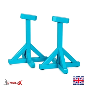 Plain Turquoise Gymblox