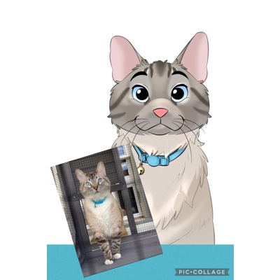 Disney Style Mug Set