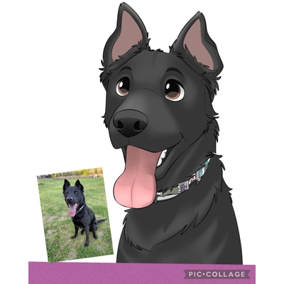 Disney Style Mug Set