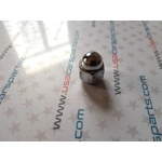 Rato, ratlankio, disko nikel..