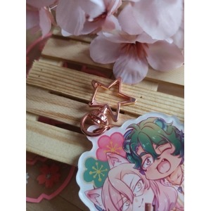 Charms - Sk8 - Fox & Tiger Matchablossom