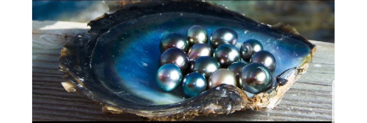 Salt Water Pearls