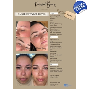Ombré/Powder Brows Course