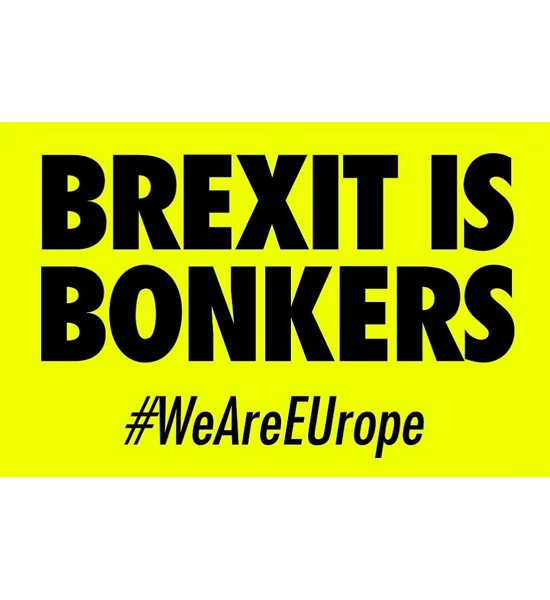 100 "Brexit Is Bonkers" Children Stickers
