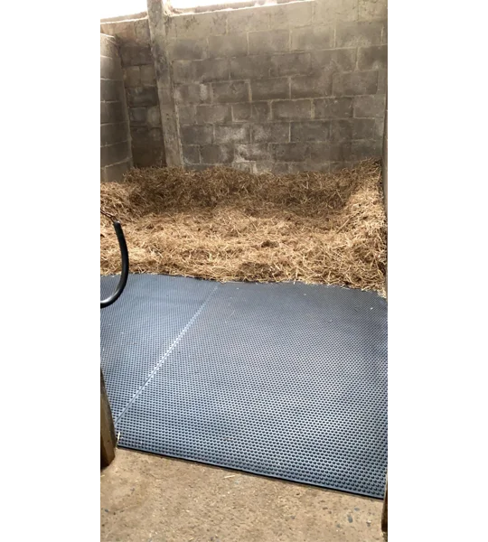 Bubble top mats
