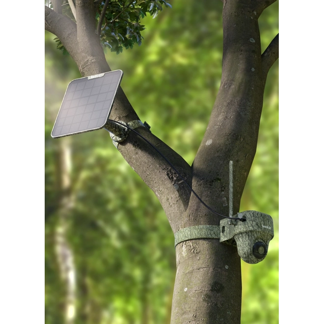 Additional Image for Reolink Go Ranger PT