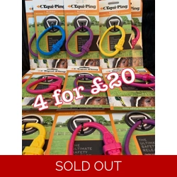 EQUI-PING OFFER