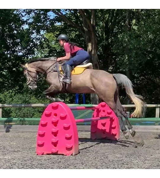 Hedgehog jumps stands & poles