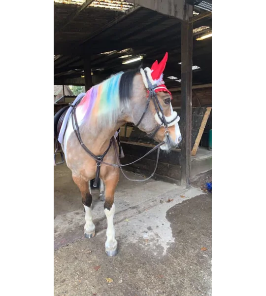 Rainbow combs