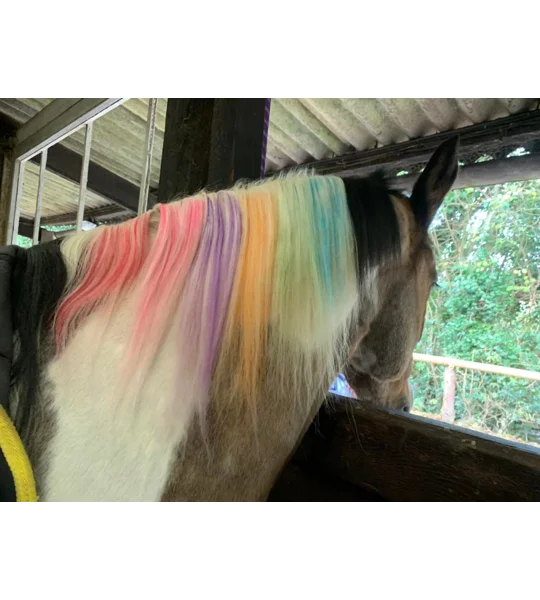 Rainbow combs