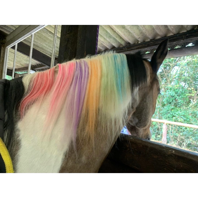 Additional Image for Rainbow combs