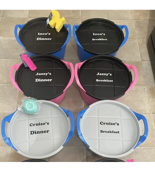 Personalized feed buckets x 2