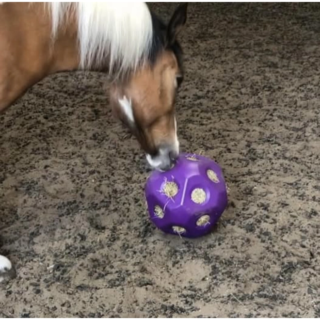 product Image for Hay Ball