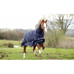 ‘Arizona’ Full Neck Combo Outdoor Rug