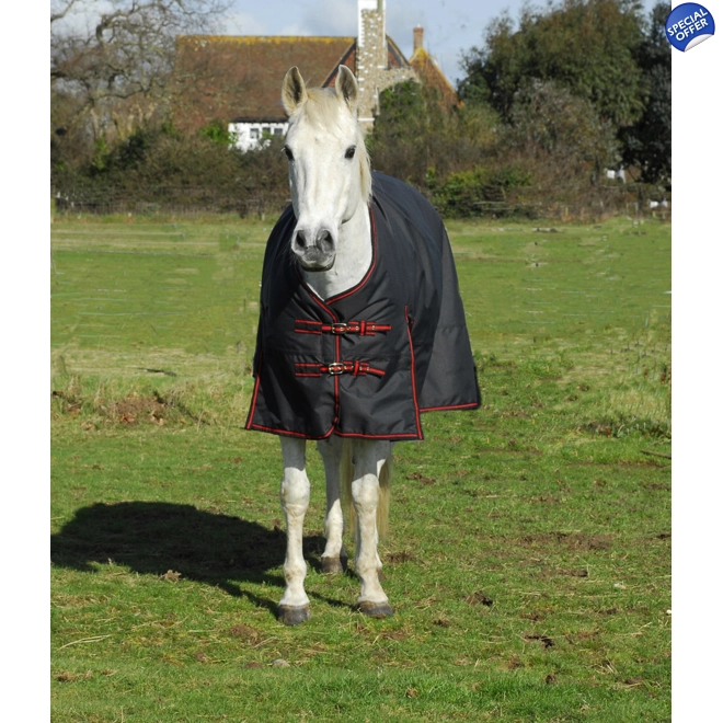 product Image for Outdoor rug 350g
