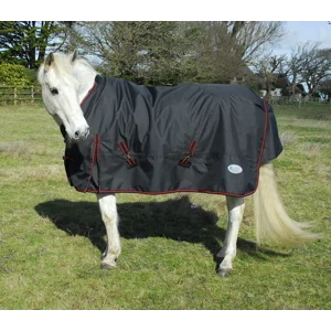 Horse clothing