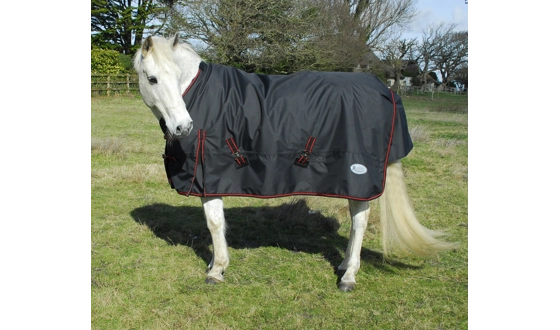 Category Image for Horse clothing