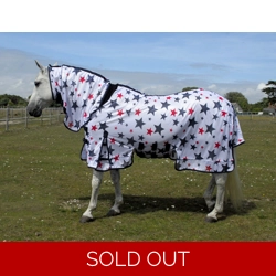 Star fly rug