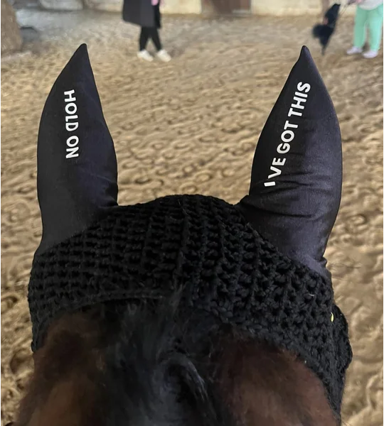 Printed ears / fly veil