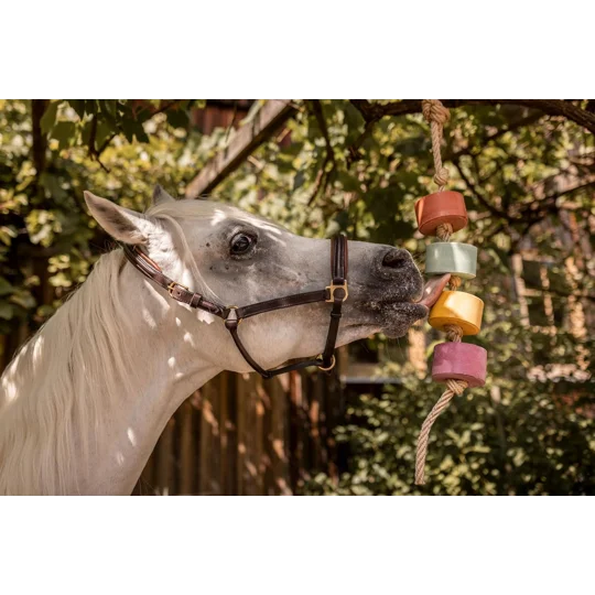 Horse Lolly Licks Arriving soon