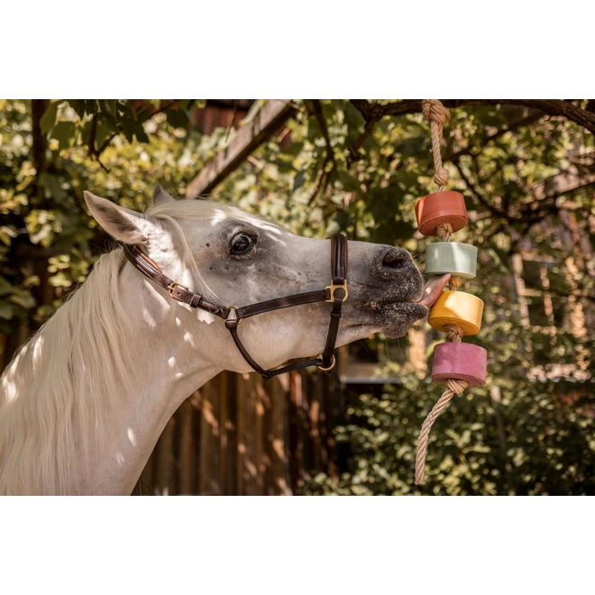 Additional Image for Horse Lolly Licks Arriving soon