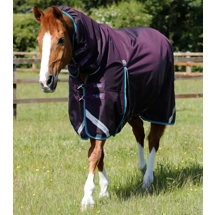 Buster Storm 100g Combo Turnout Rug with Snug-Fit Neck Purple