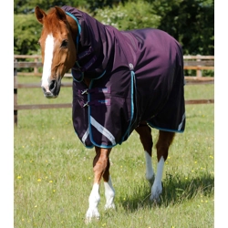 Buster Storm 100g Combo Turnout Rug with Snug-Fit Neck Purple