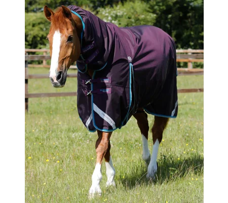 Buster Storm 100g Combo Turnout Rug with Snug-Fit Neck Purple