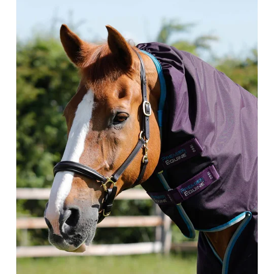 Buster Storm 100g Combo Turnout Rug with Snug-Fit Neck Purple