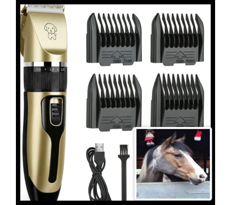 Clippers