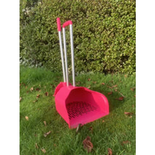 Dungbeetle
