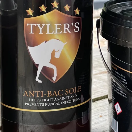 Anti bac sole spray