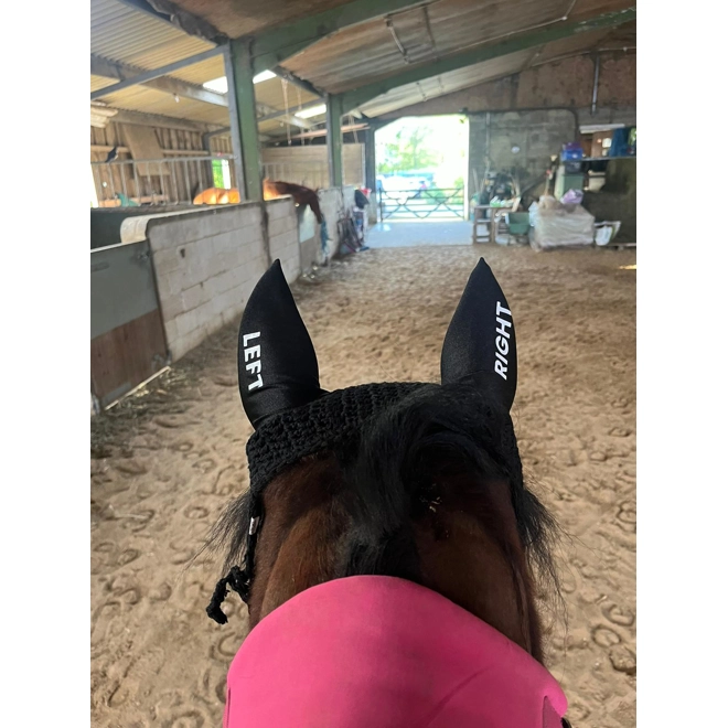 product Image for Printed ears / fly veil