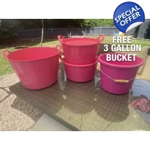 Pink bucket special
