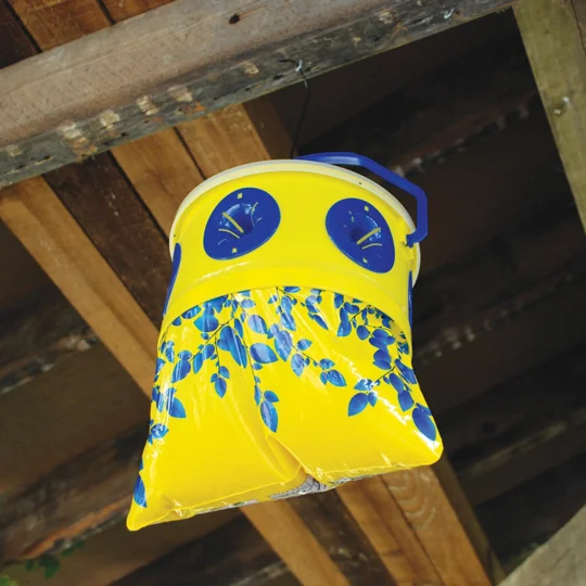 Stable fly trap